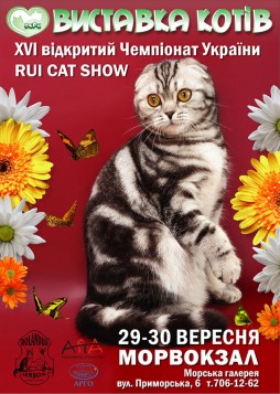 Выставка кошек RUI Cat Show