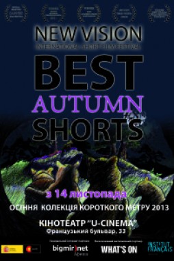 Best Autumn Shorts  New Vision 2013