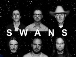 SWANS