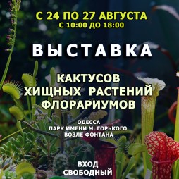 Выставка кактусов, хищных растений, флорариумов