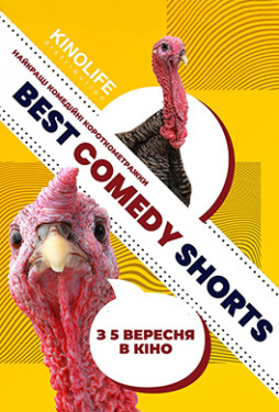 Best Comedy Shorts (18+)